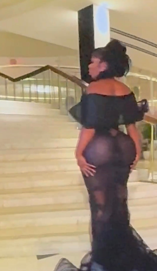 Elegant Vintage Evening Sheer Gown Dress