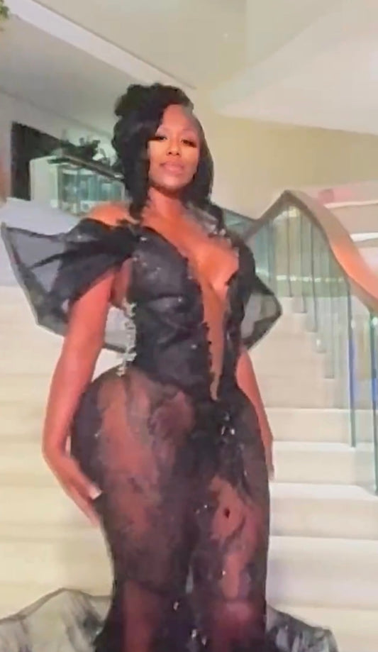 Elegant Vintage Evening Sheer Gown Dress